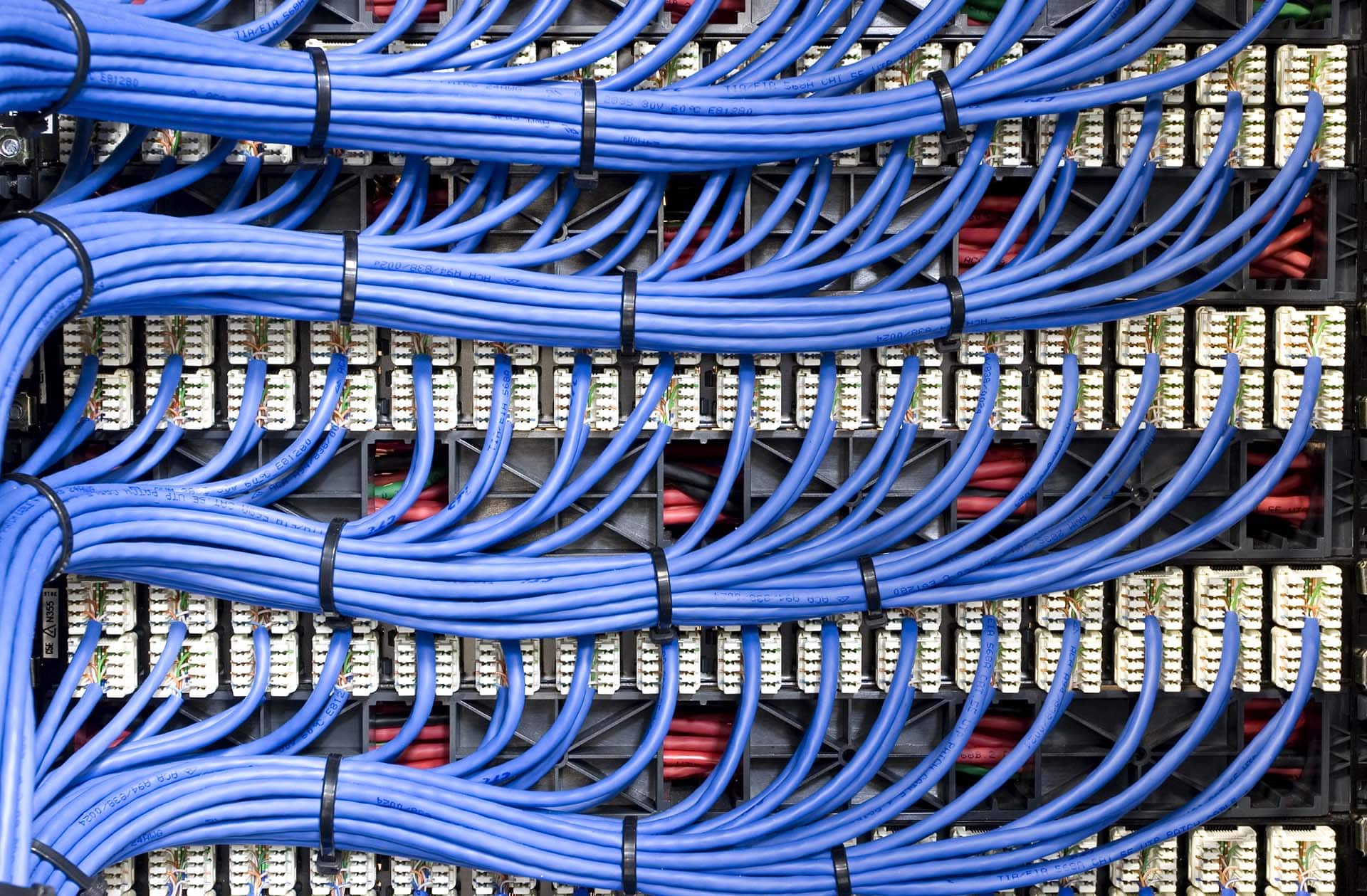 The Role of Structured Cabling in Supporting a Future-Proof Business